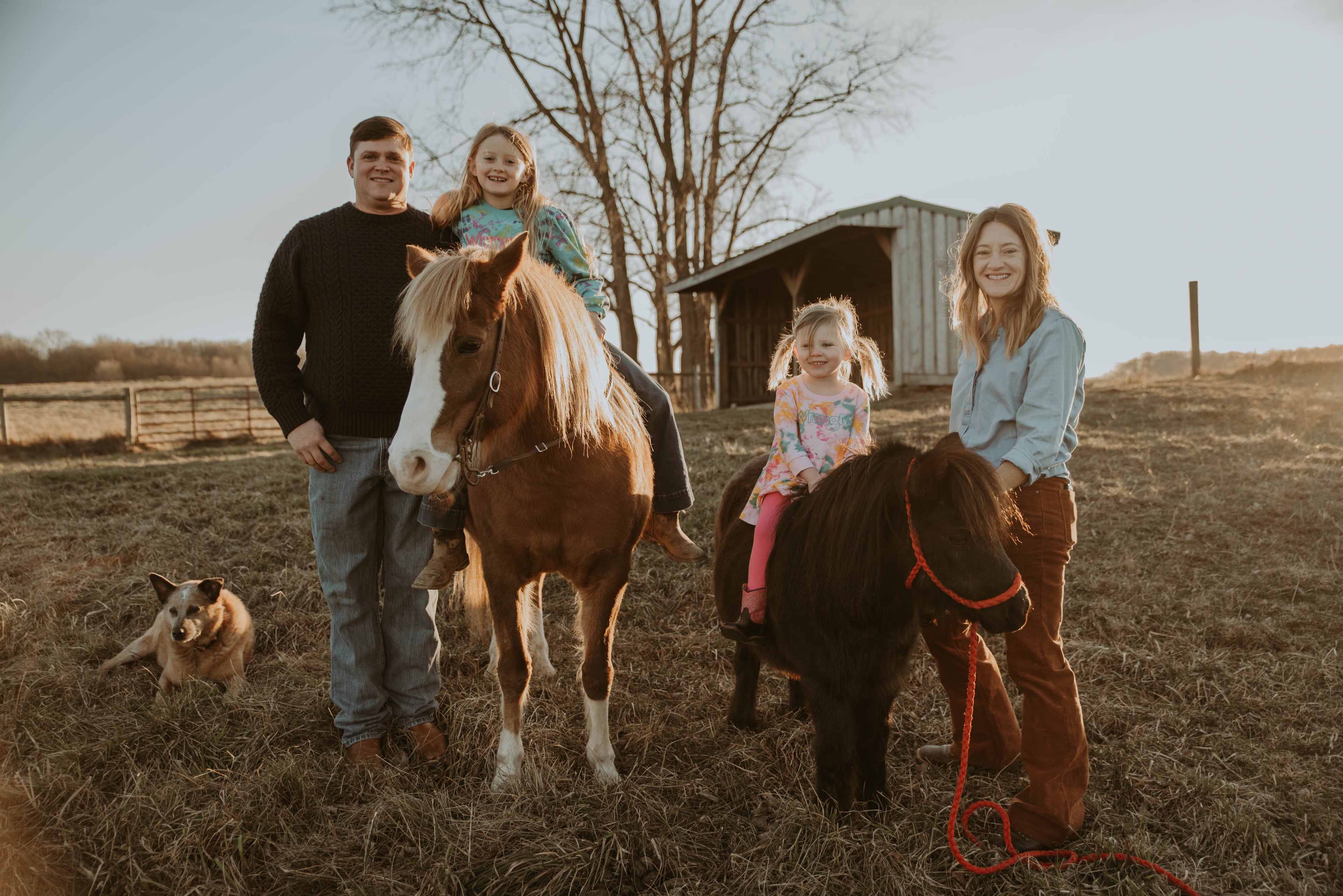 Meet the New Herd Behind Horse Fly Net