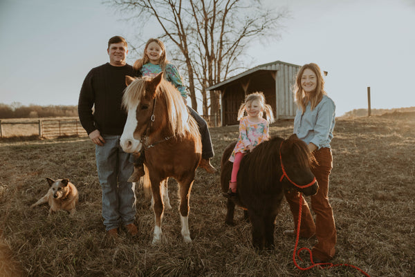 Meet the New Herd Behind Horse Fly Net